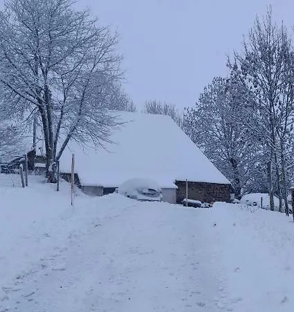 Grouffaud - Chez Mam Billig * Picherande